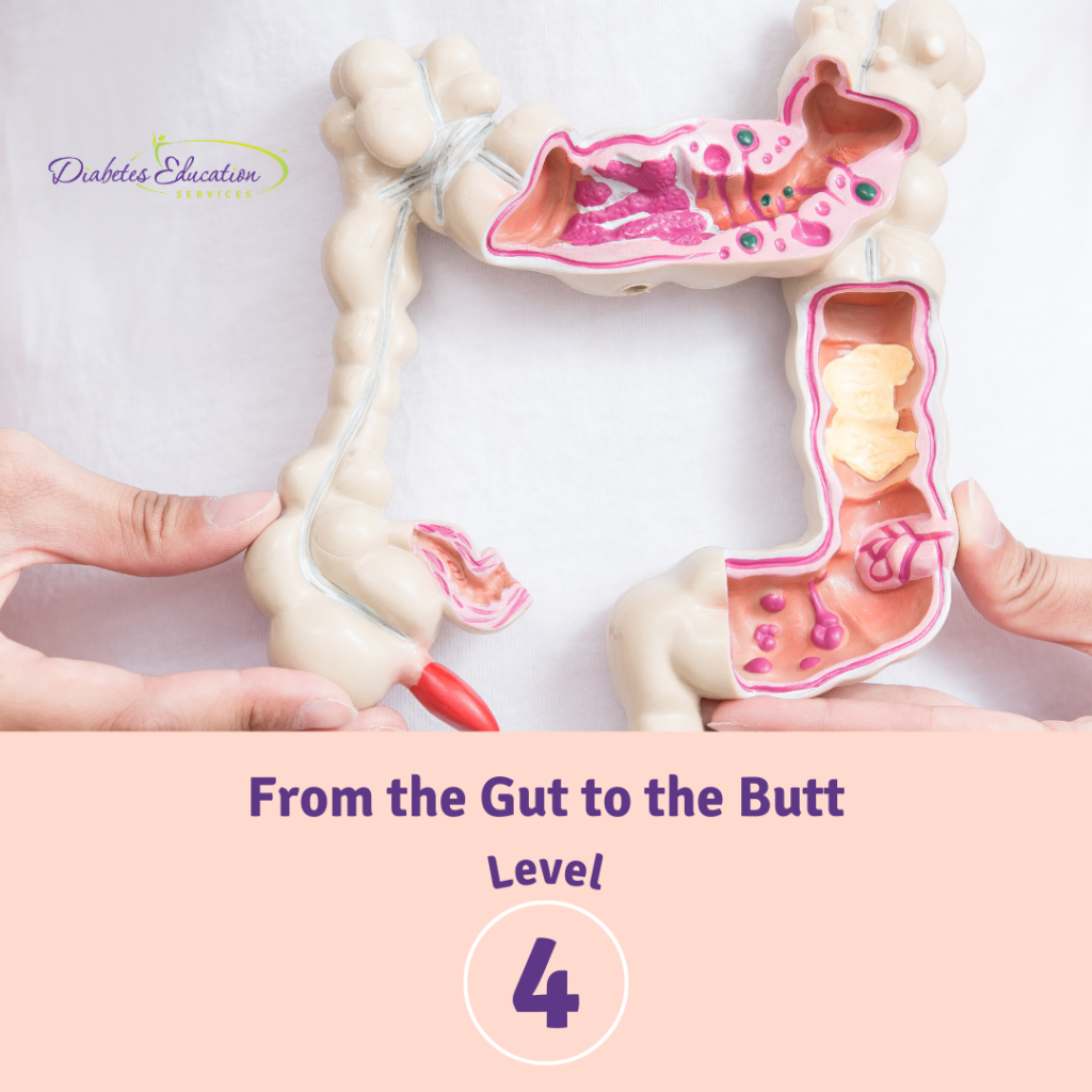 Colon model educational demonstration for diabetes level 4.
