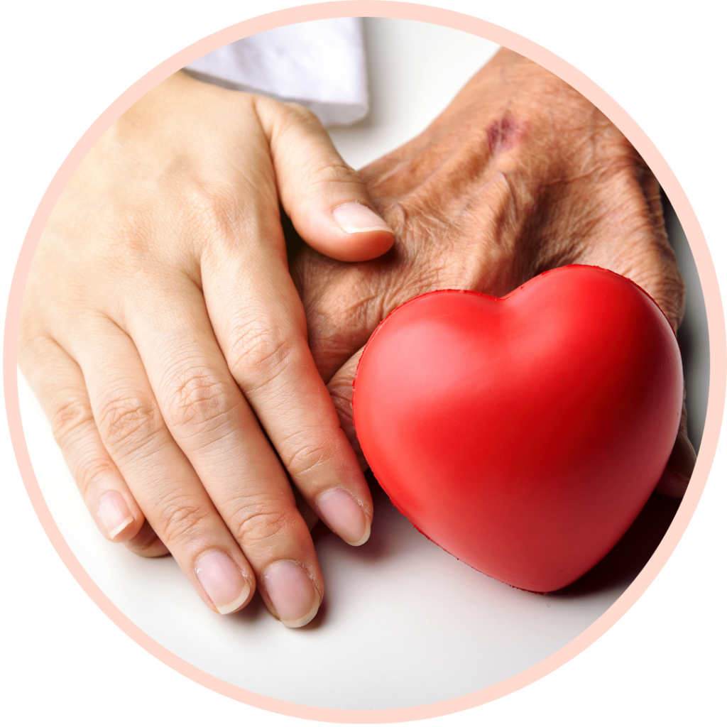 Elderly and young hands holding red heart