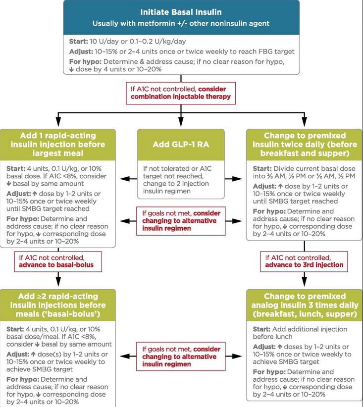 Ada Insulin Dosing Algorithm