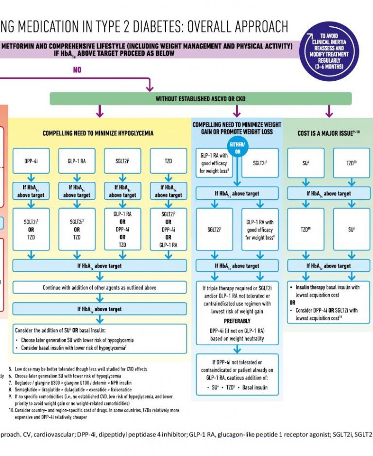 Med Management Update Diabetes Education Services