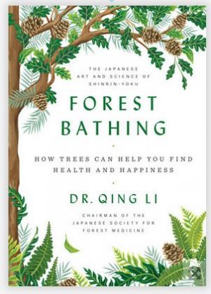 Forest Bathing | Oxygen Cocktails can Boost Your Killer T Cells ...
