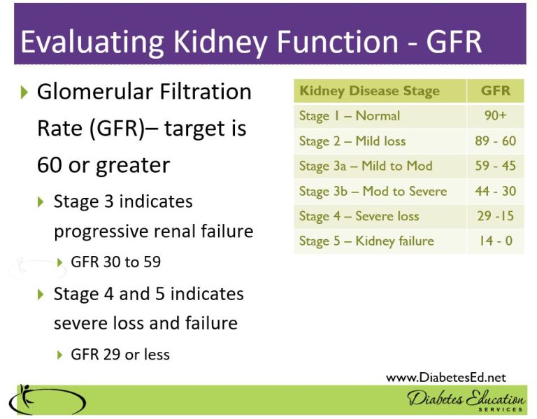 From Dipsticks to GFR How to Evaluate Kidney Function Diabetes