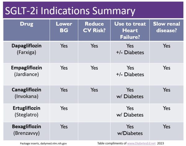 New Zavvy Sglt 2 Inhibitor Approved Diabetes Education Services